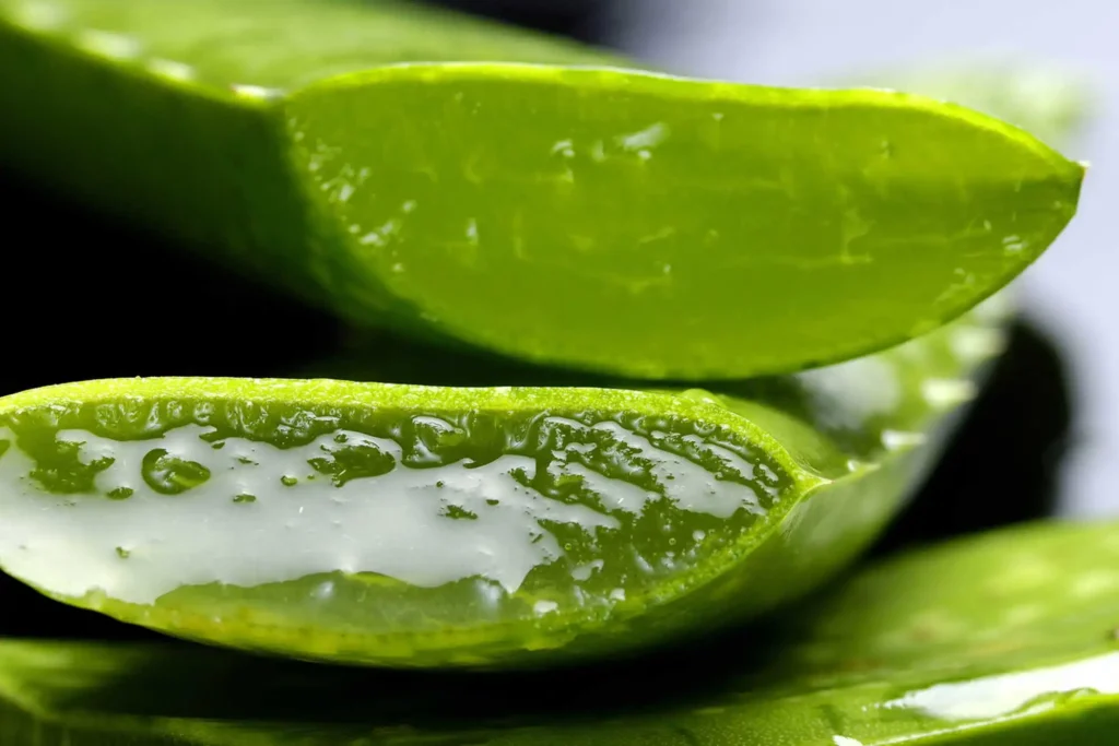 aloe vera gel for skin brightening