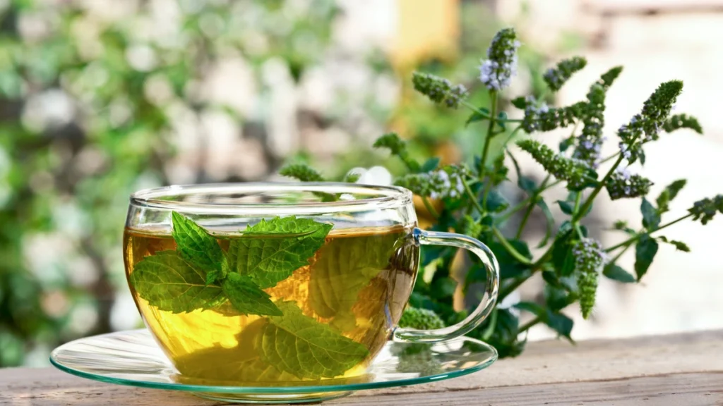 herbal infussions